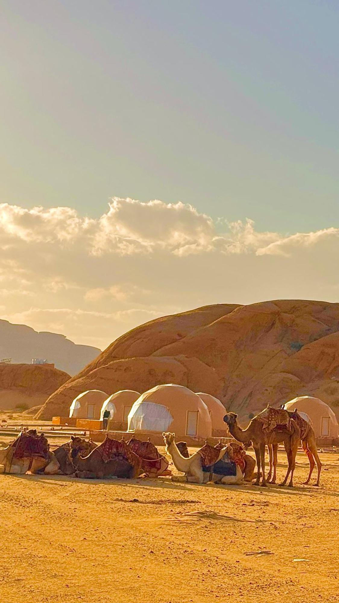Wadi Rum Anwar Luxury Camp Ngoại thất bức ảnh