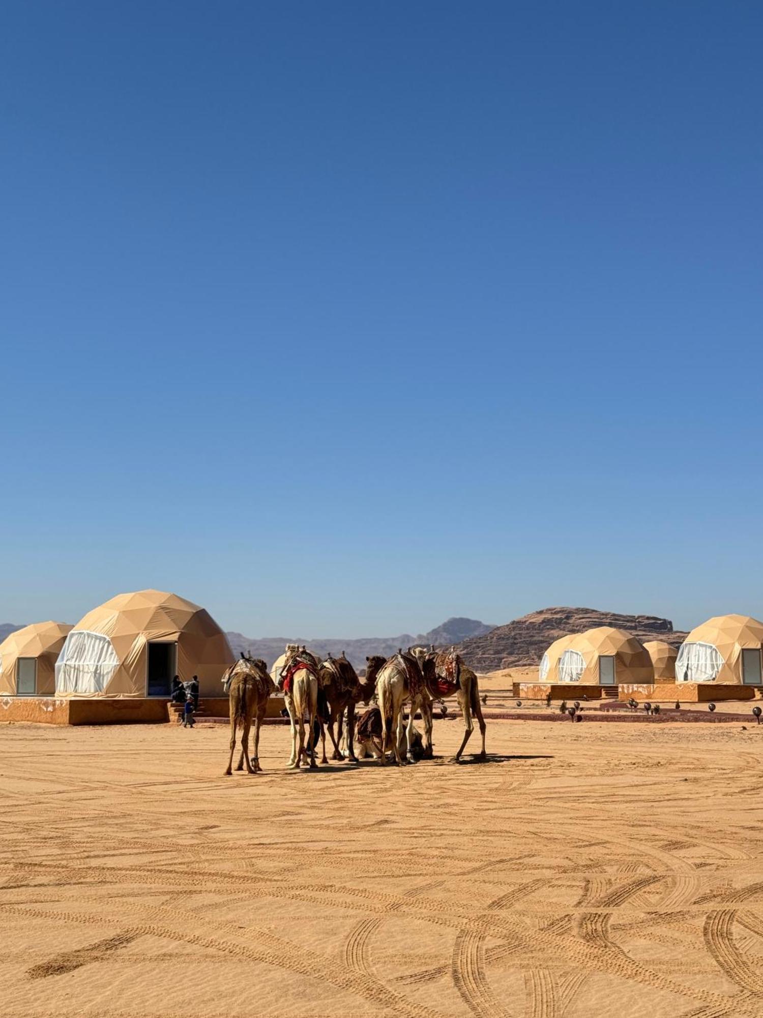 Wadi Rum Anwar Luxury Camp Ngoại thất bức ảnh